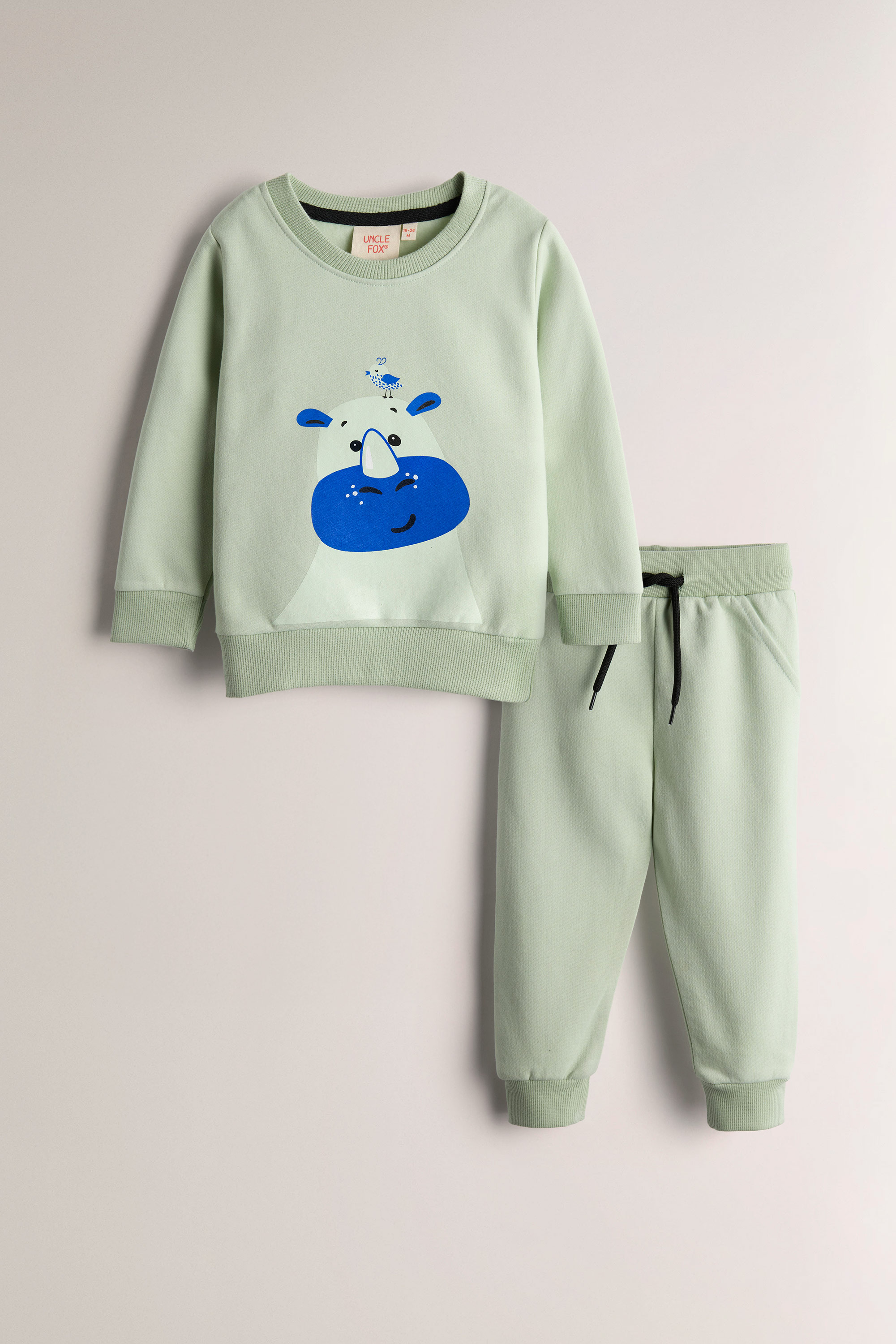 Girl's Sweatshirt & Trouser Set