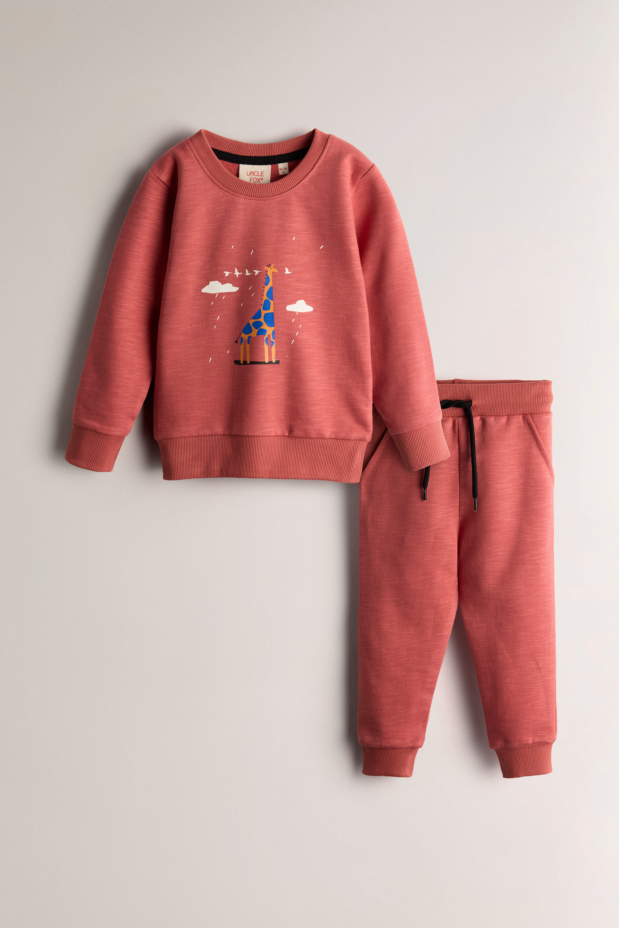 Girl's Hoodie & Jogger Set