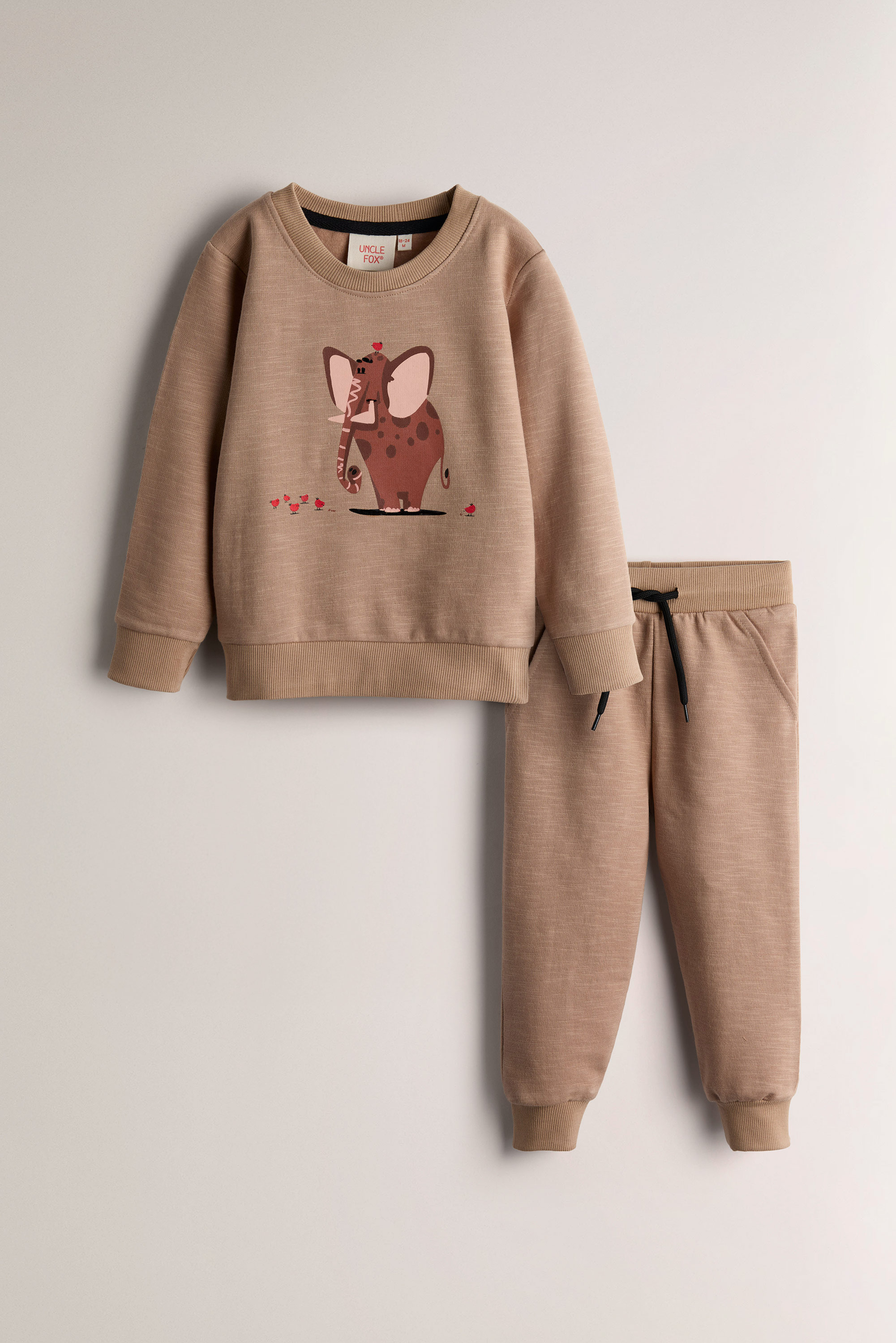 Boy's Sweatshirt & Trouser Set