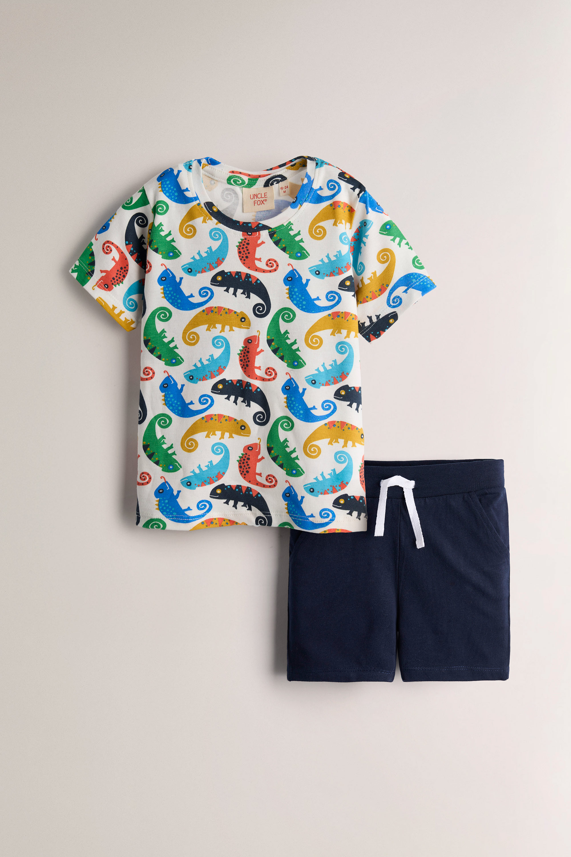 Boy's Printed Sweatshirt Set